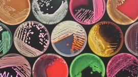 Timeline: Historia de los conceptos de causa y enfermedad: paralelismo entre la Medicina y la Fitopatolog