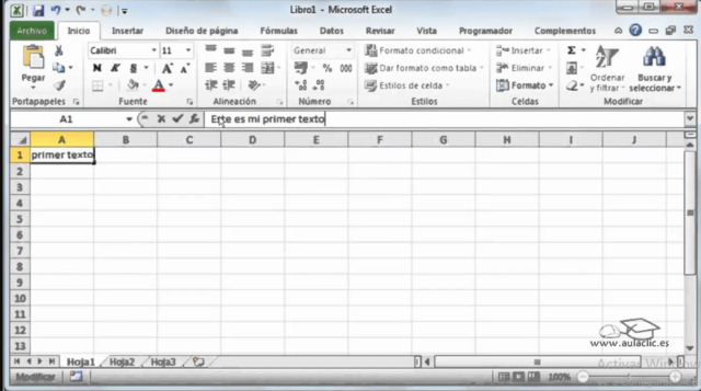 Excel 2010 (14.0)