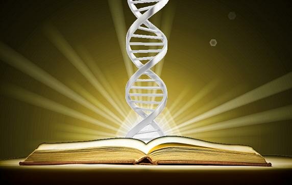 PROPUESTA EPISTEMOLOGICA - CONCORDISMO