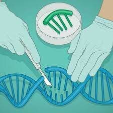 PROPUESTA EPISTEMOLOGICA - LA INTERDISCIPLINARIEDAD