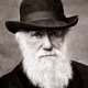 Charles darwin 1880