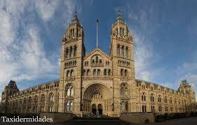 What else happened in 1881 ?