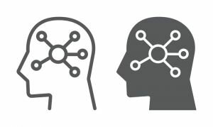 Se definen los primeros paradigmas