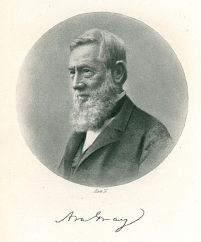 Bailey serves as an assistant to Asa Gray