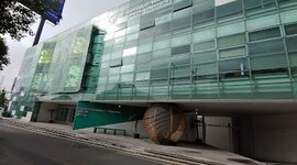 Timeline: Historia de la Web