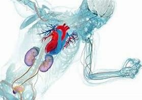 FINALES DEL SIGLO XX TENDENCIAS DEL ENTRENAMIENTO