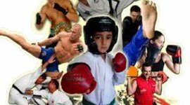 Timeline: Deportes de Combate