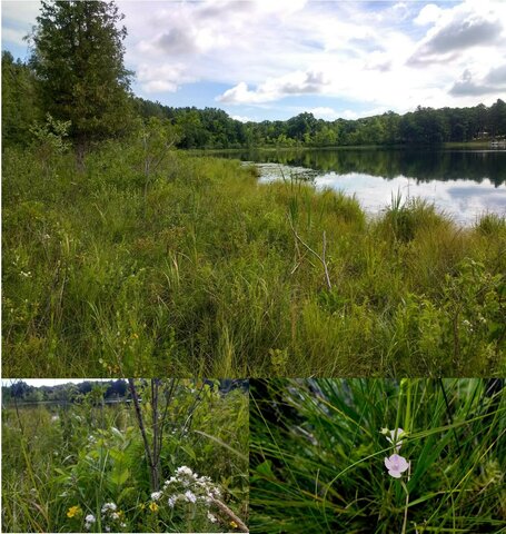 $3,081,000 MNRTF Grant for 235-acre Addition to Lost Lake Nature Park