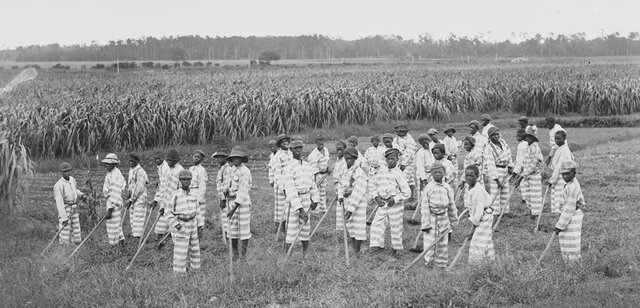 Convict leasing becomes widespread