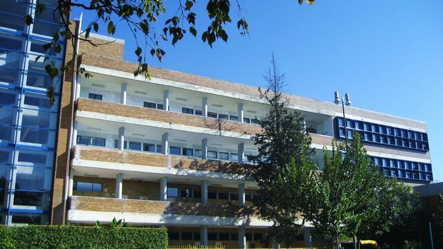 Fenómenos en la  educación de la Odontología