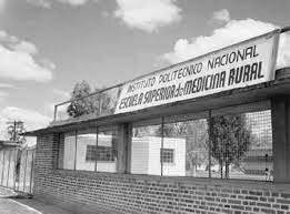 Construcción masiva de edificios escolares.