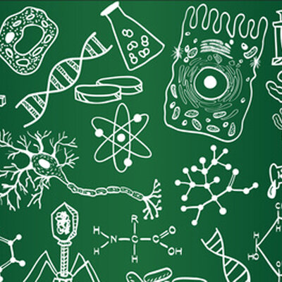 Timeline: Биологические науки Лаб№1