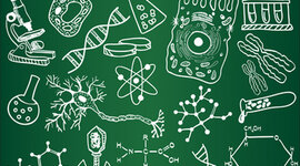 Timeline: Биологические науки Лаб№1