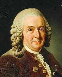 Стивен Гейлс