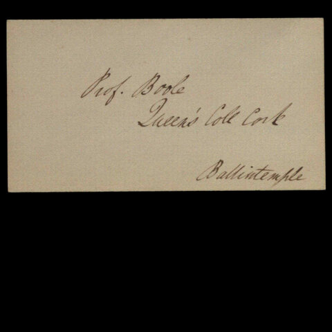 Appointed Professor in Cork