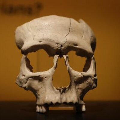 Timeline: LA CRONOLOGIA DE LA PREHISTÒRIA