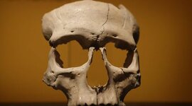 Timeline: LA CRONOLOGIA DE LA PREHISTÒRIA