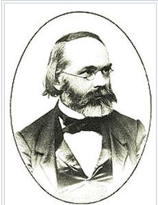 Descobriment dels cromosomes