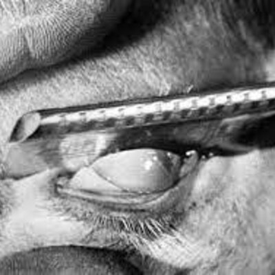 Timeline: PRIMERAS VANGUARDIAS (U.5-III, IV, V)