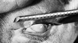 Timeline: PRIMERAS VANGUARDIAS (U.5-III, IV, V)