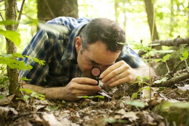 Corriente Geografía de la Precepción.