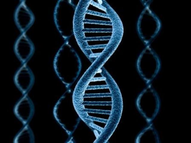 биологический носитель