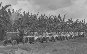 Masacre de las bananeras por el ejercito nacional