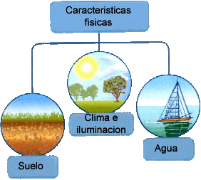 Paradigma Determinista Naturalista