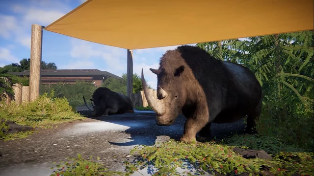 Coelodonta antiquitatis