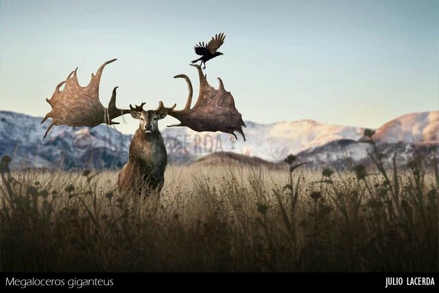 Megaloceros giganteus