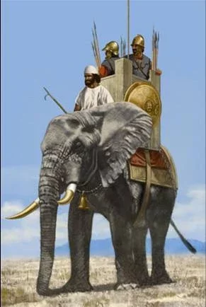 Loxodonta africana pharaoensis
