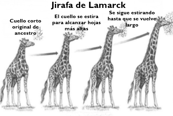 Teoría del lamarckismo