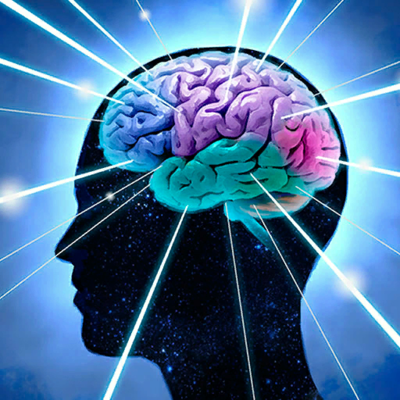 Timeline: Les cinq âges de cerveau