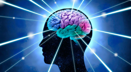 Timeline: Les cinq âges de cerveau