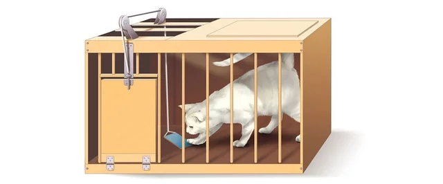 1874-1949, Edward L. Thorndike