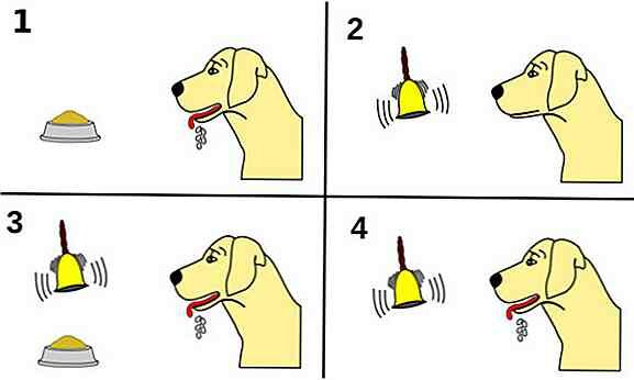 Experimento de condicionamiento clásico con perros (Ivan Pavlov)