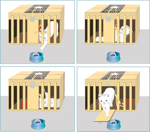 Thorndike, experimento conductual con gato “aprendizaje por ensayo y error”