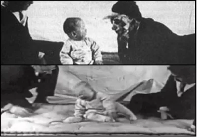 Watson y Rayner, experimento conductual con el pequeño Albert