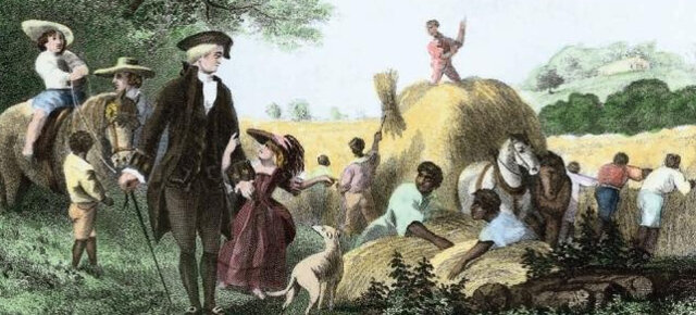 They establish the rule that manumit slaves is legal.