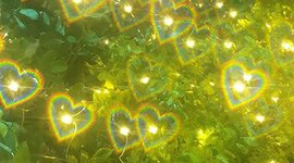 Timeline: Línea del Tiempo