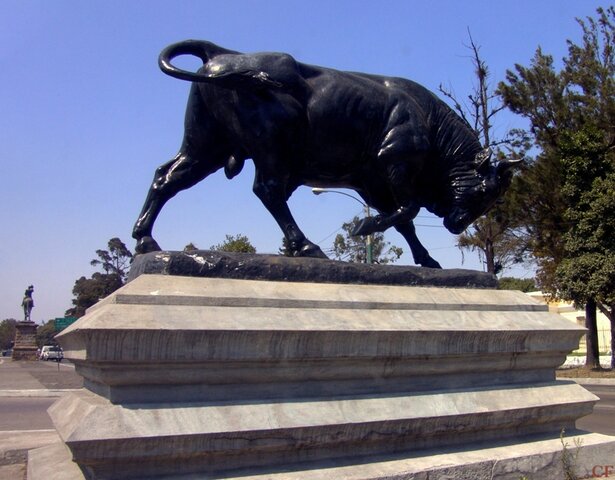 Toros de avenida la Reforma