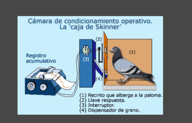 Skinner. Experimento de ¨La superstición de las palomas¨
