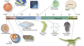 Timeline: LES ETAPES DE LA FORMACIÓ DE LA TERRA