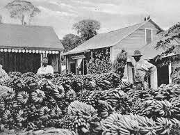 United Fruit Company