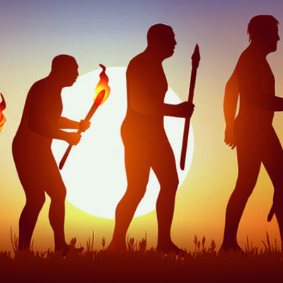 Timeline: Teorías de la Evolución.