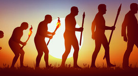 Timeline: Teorías de la Evolución.