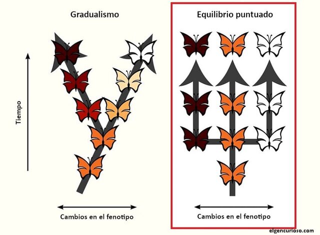 Teoría del Equilibrio Puntuado
