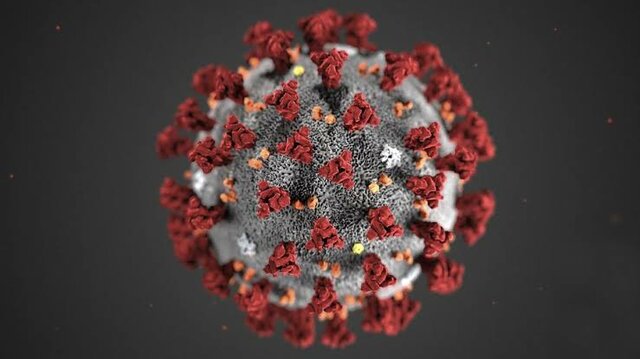 Como vivimos en el siglo XXI - COVID-19