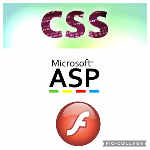 Aparece flash, asp de Microsoft y CSS