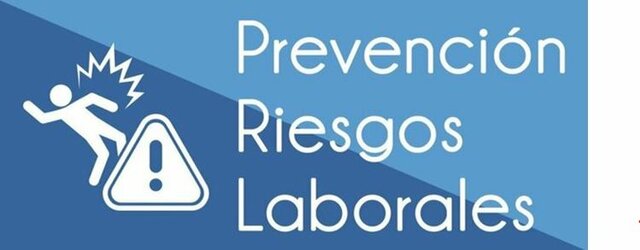 1995 - El trabajo desde el punto de vista de riesgos laborales